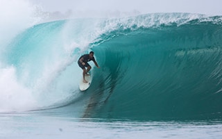 Mentawai Surfing - Greenbush