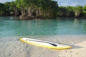Stand up Paddle Board Free to use