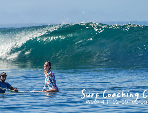 Macaronis Resort ||  02-09 February 2024 || Surf Clinic Week 4