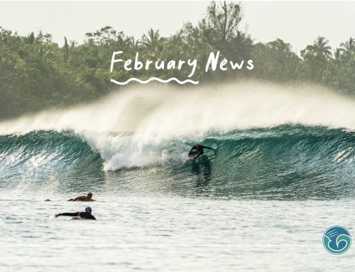 February News Update