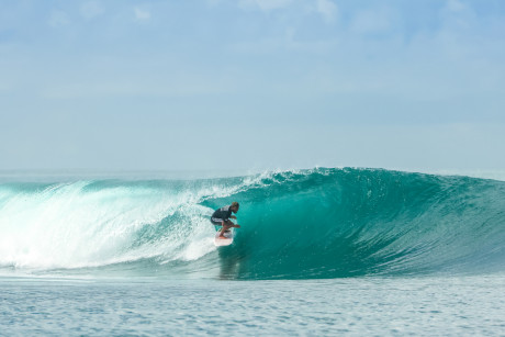 Macaronis in February, 2024