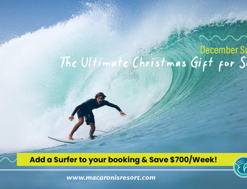 Christmas Offer – Book 1 Surfer Staying at Non-Surfer Rate – Save 50% Off!!