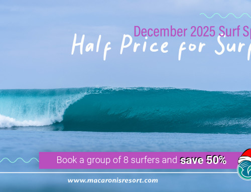 Christmas Offer – Book a Group of 8 Surfers – Save 50% Off!!
