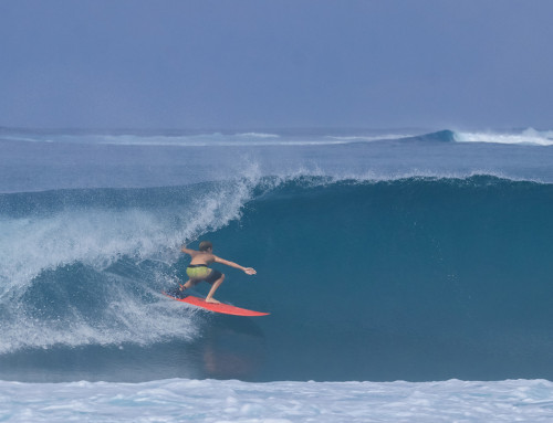 Macaronis Resort ||  14-21 March 2025