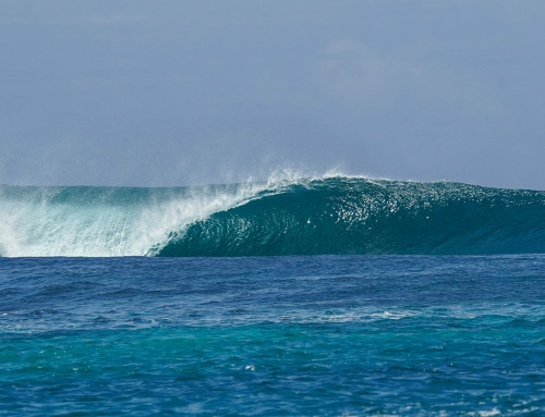 Macaronis Resort ||  15-22 August 2025