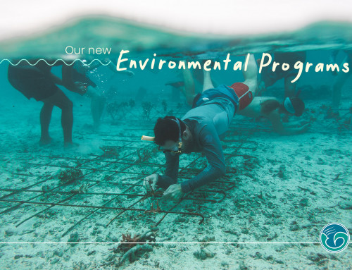 Macaronis Resort Environmental Programs