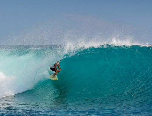 Macaronis Resort ||   15-22 May 2026